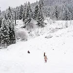 Alpesi faház Malino & Residences - *