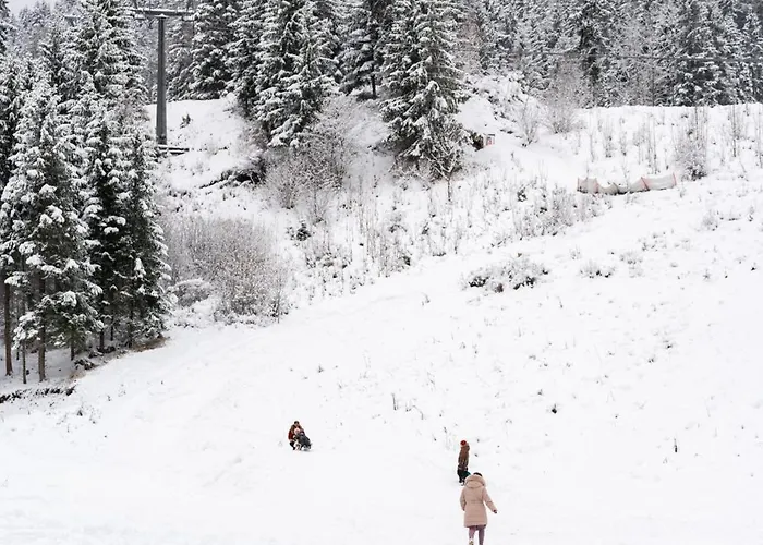 Alpehytte Malino & Residences - *