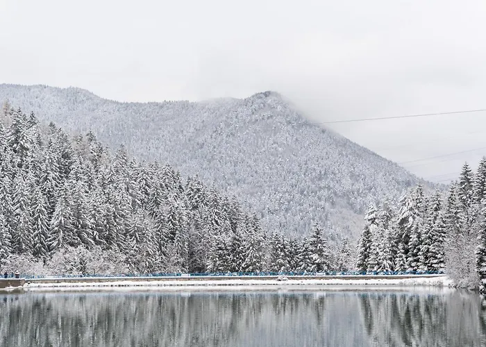 Malino & Residences - Alpehytte Ruzomberok