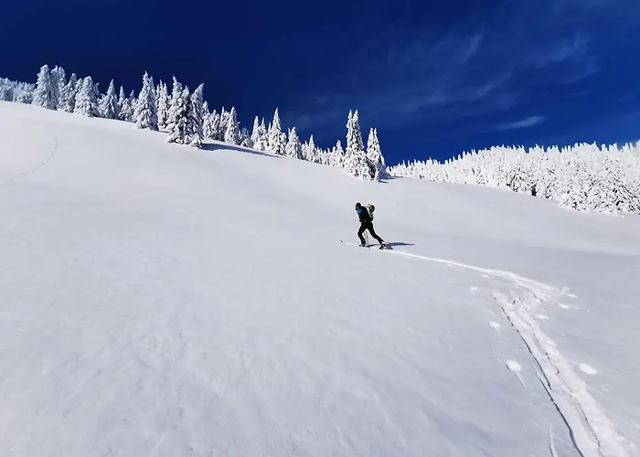 Malino & Residences -